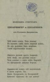 Молодым супругам Цесаревичу и Цесаревне от Русского дворянства. – СПб., 1866.